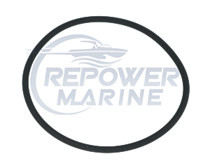 Raw Water Pump O' Ring for Volvo Penta, Replaces 968971